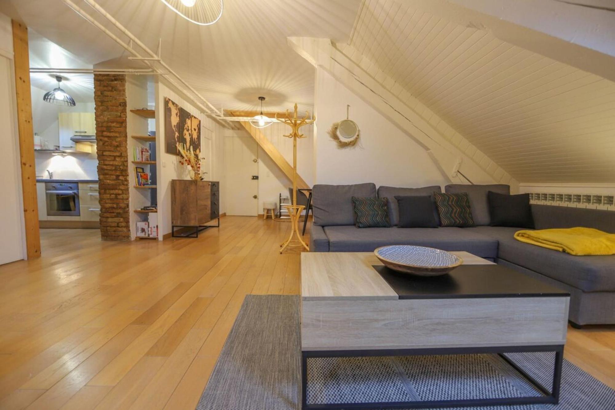 Le Factory Duplex En Vieille Ville Cote Lac 阿讷西 外观 照片